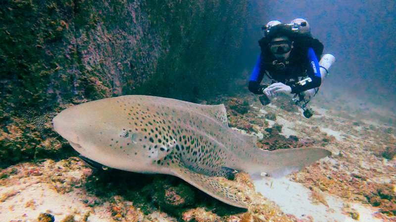 Tec diving Phuket at Racha Noi