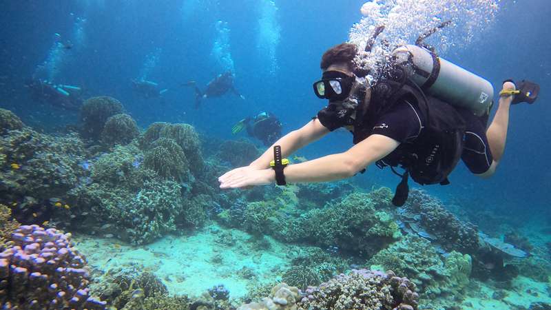 Phuket PADI courses for beginners